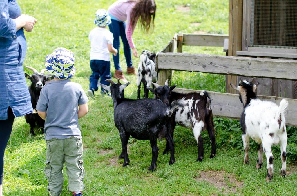Kinderhotel Appelhof Mürzsteg Zewnętrze zdjęcie