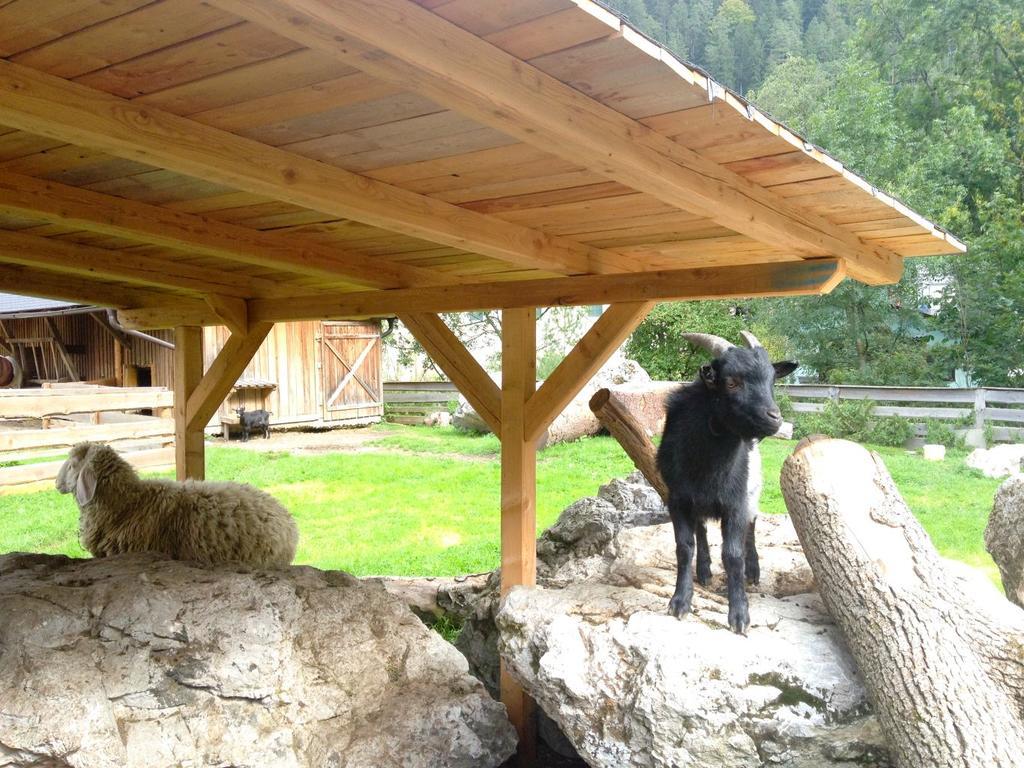 Kinderhotel Appelhof Mürzsteg Zewnętrze zdjęcie