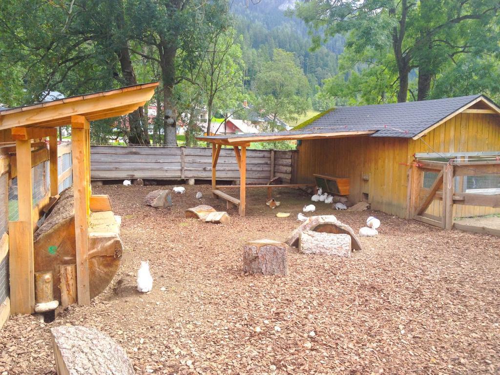 Kinderhotel Appelhof Mürzsteg Zewnętrze zdjęcie