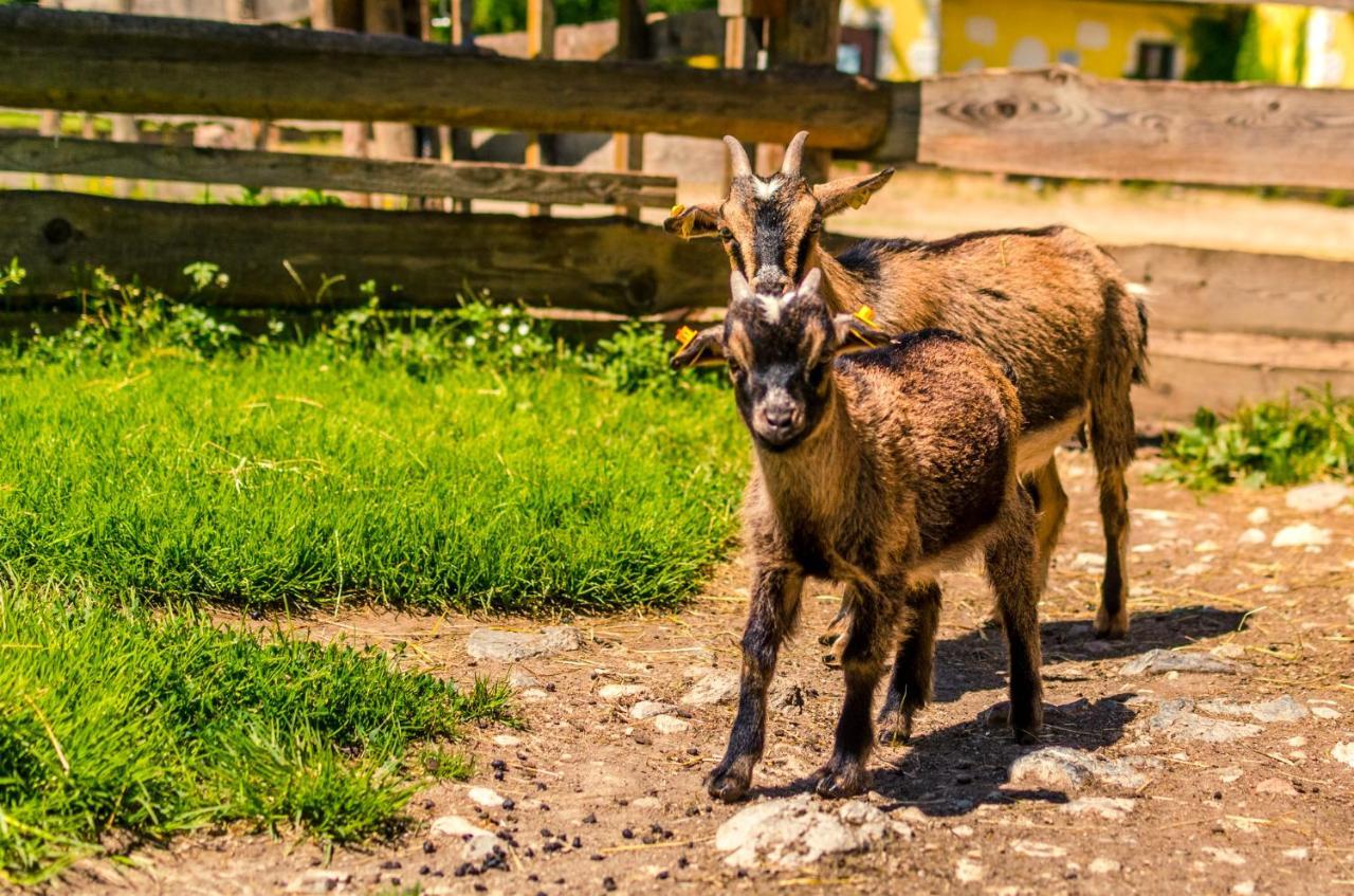 Kinderhotel Appelhof Mürzsteg Zewnętrze zdjęcie