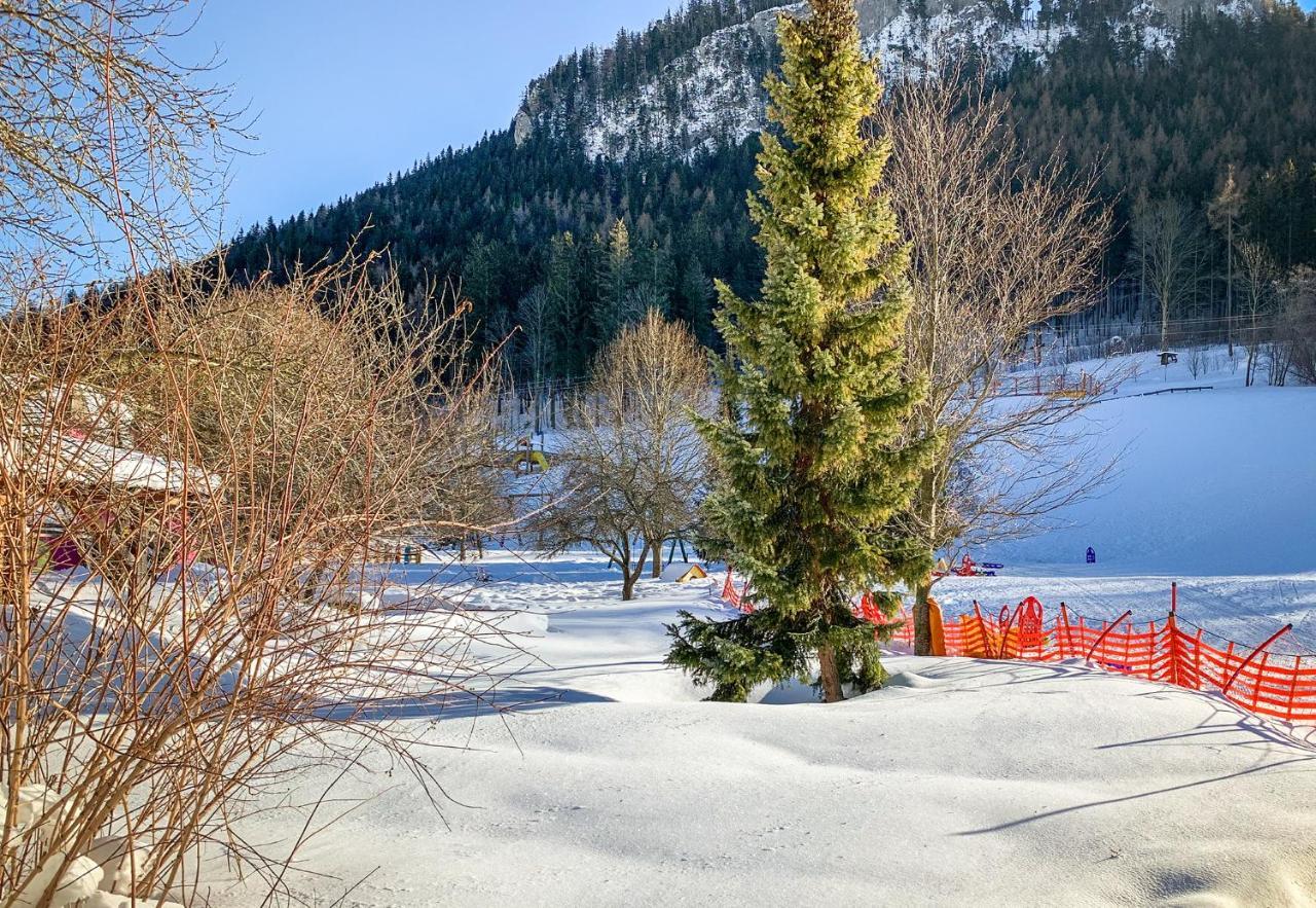 Kinderhotel Appelhof Mürzsteg Zewnętrze zdjęcie