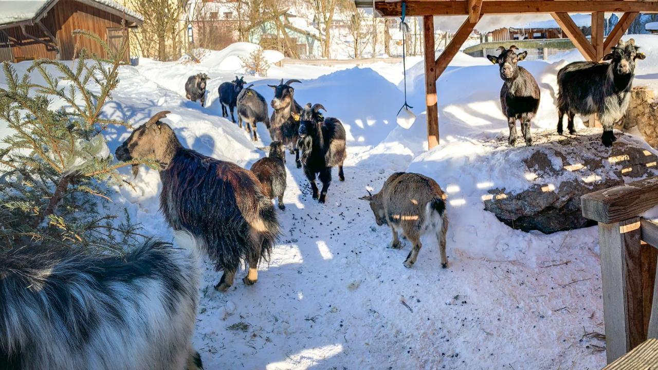Kinderhotel Appelhof Mürzsteg Zewnętrze zdjęcie