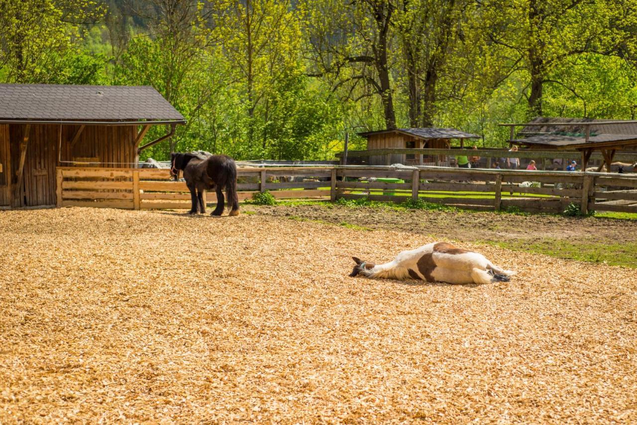 Kinderhotel Appelhof Mürzsteg Zewnętrze zdjęcie