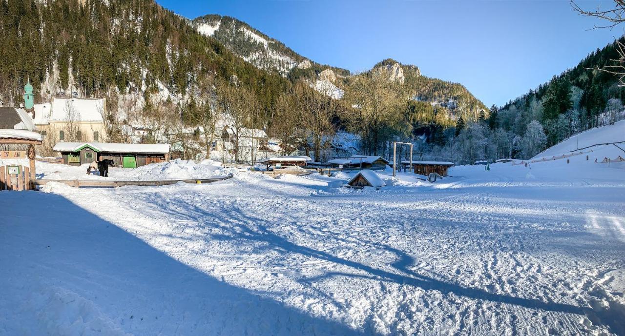 Kinderhotel Appelhof Mürzsteg Zewnętrze zdjęcie