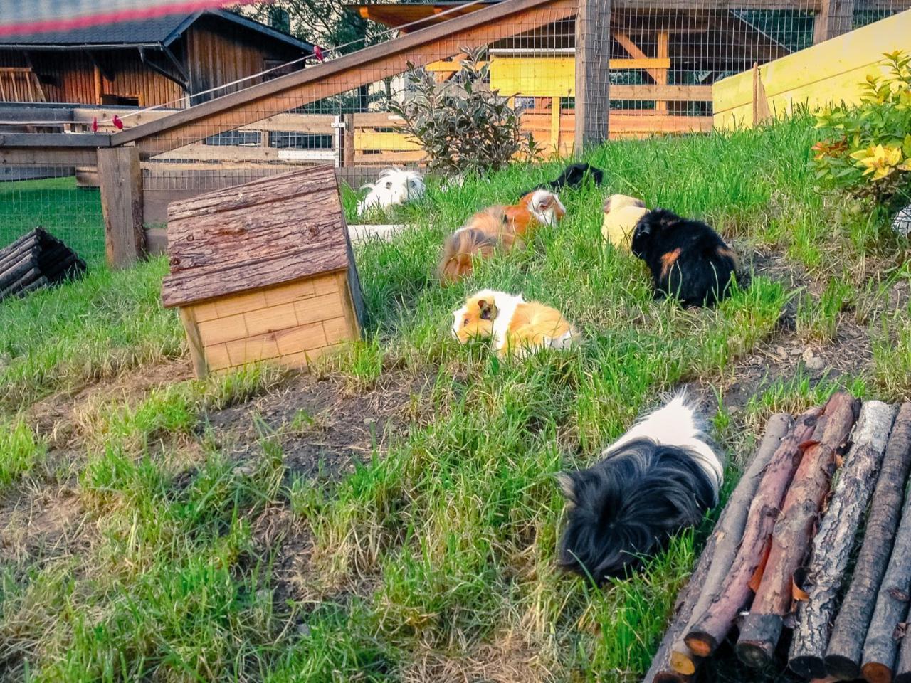 Kinderhotel Appelhof Mürzsteg Zewnętrze zdjęcie